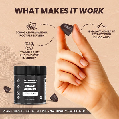 Shilajit Gummies Vitammiesuk